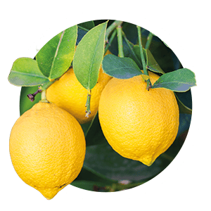 lemon-peel-white