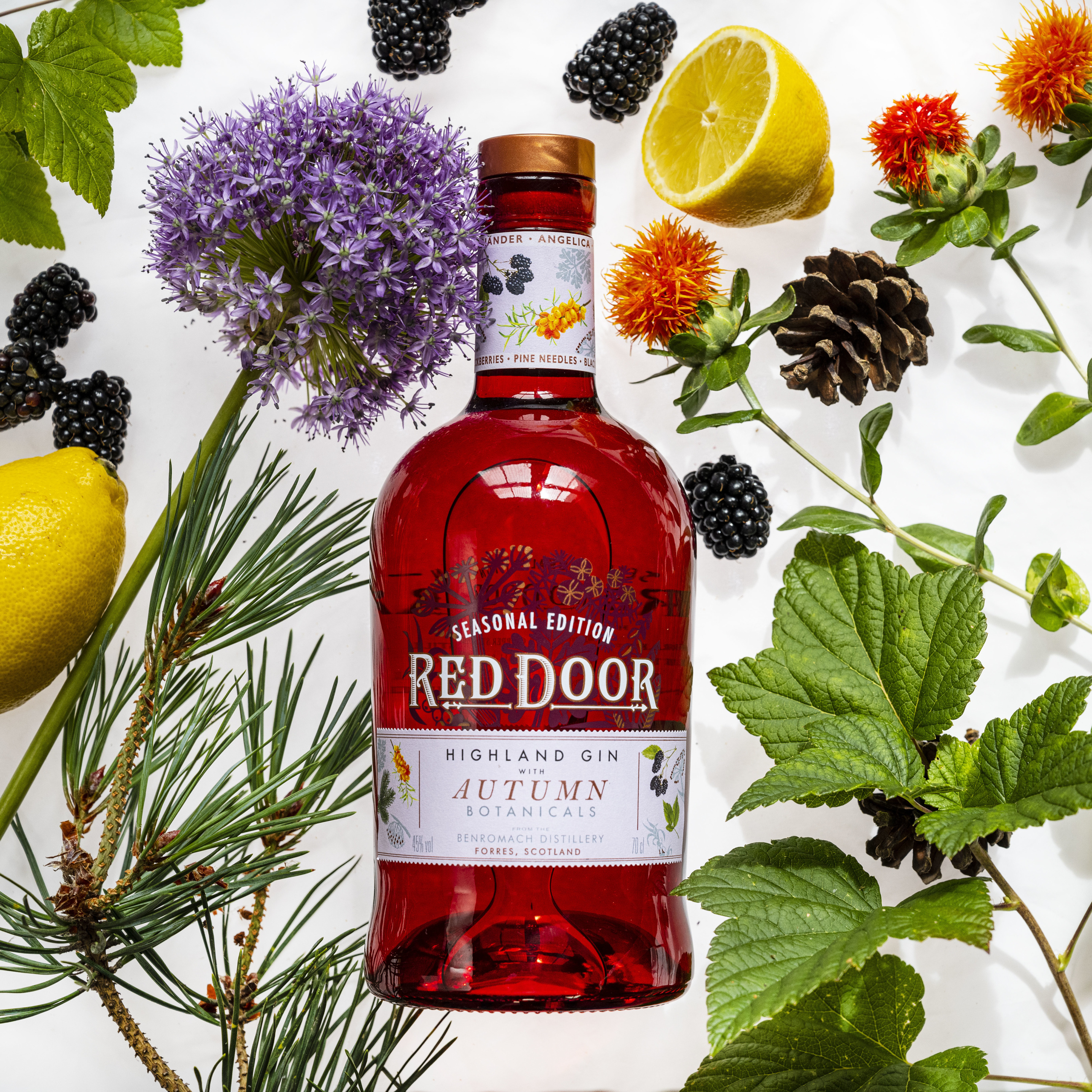 Red-Door-Gin_0232